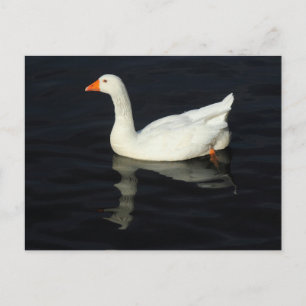 Postal Emden Goose
