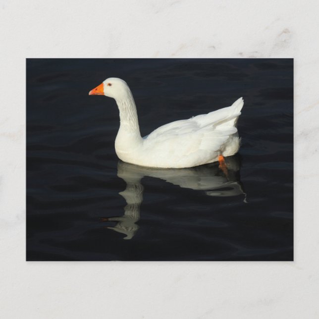 Postal Emden Goose (Anverso)
