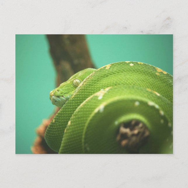 Postal Emerald (Anverso)