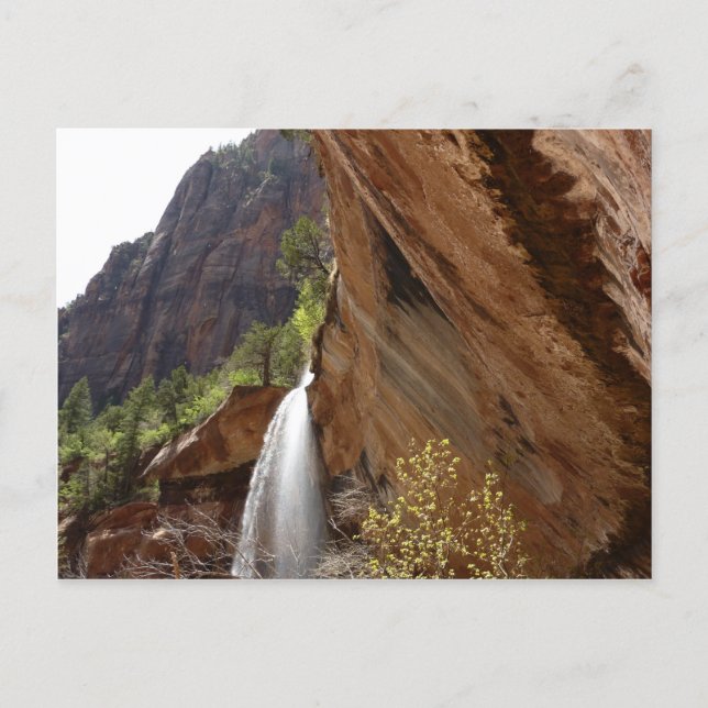 Postal Emerald Pool Falls III del Parque Nacional Zion (Anverso)
