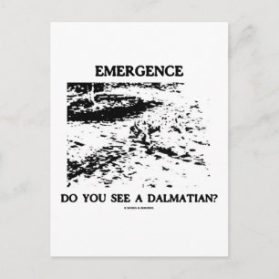Postal Emergencia ¿Ves A Un Dalmaciano?