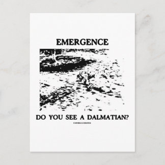 Postal Emergencia ¿Ves A Un Dalmaciano?
