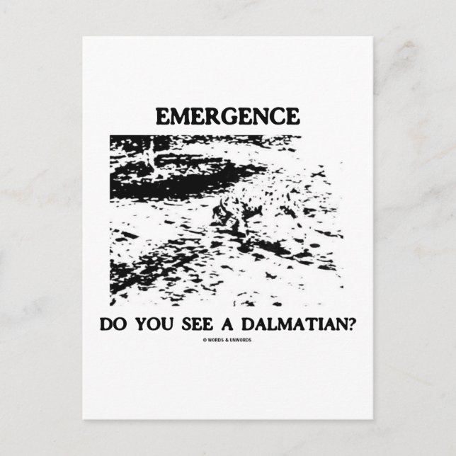 Postal Emergencia ¿Ves A Un Dalmaciano? (Anverso)