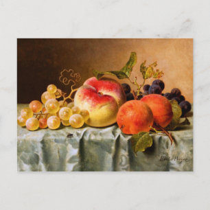 Postal Emilie Preyer: Frutas con mosca