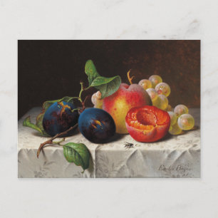 Postal Emilie Preyer: Frutas y Mosca