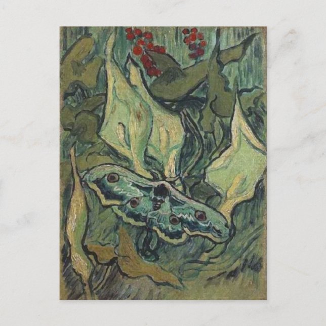Postal Emperador o gran Bella Artes Moth Van Gogh (Anverso)