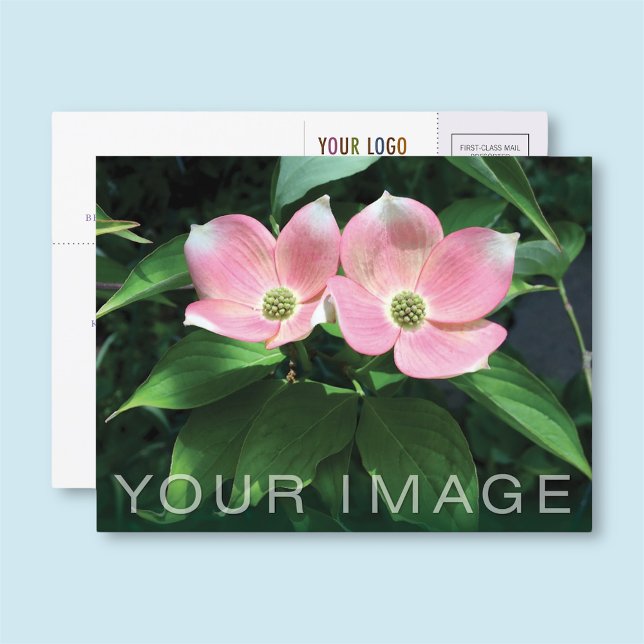 Postal empresa personalizado con logotipo y foto d (MISOOK Business Postcard with Photo and Logo)