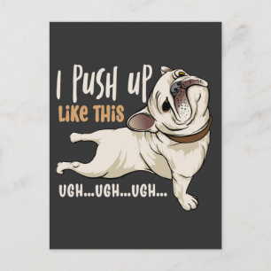 Postal Empujo Como Este Guay Perro Memes