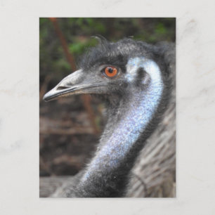 Postal Emu