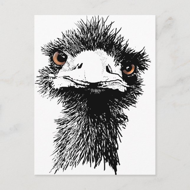 Postal Emu (Anverso)