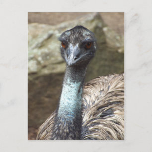 Postal Emu