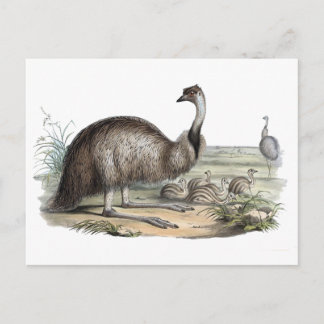 Postal Emu
