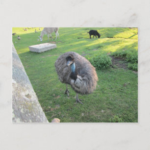 Postal Emu