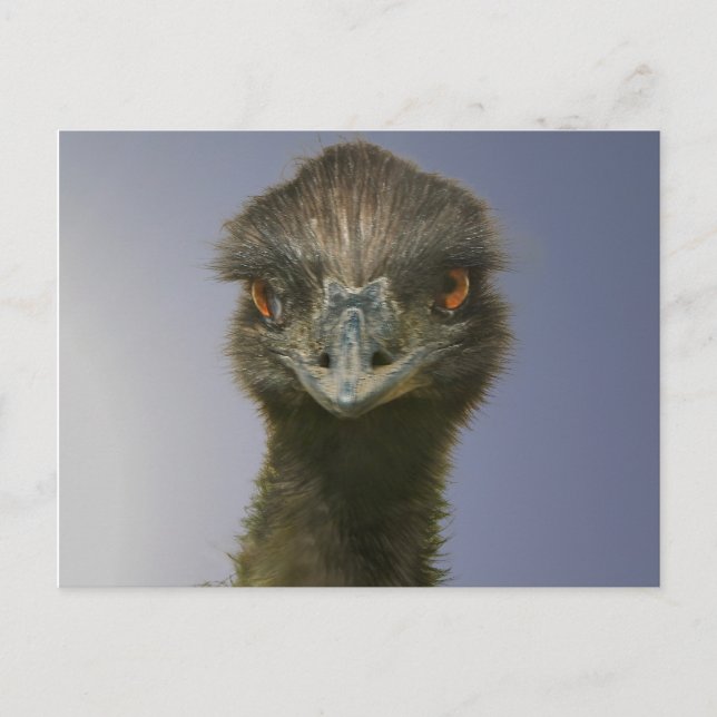 Postal Emu Mirándote (Anverso)