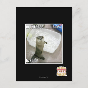 Postal ¿En allí? ¡Es Kold!