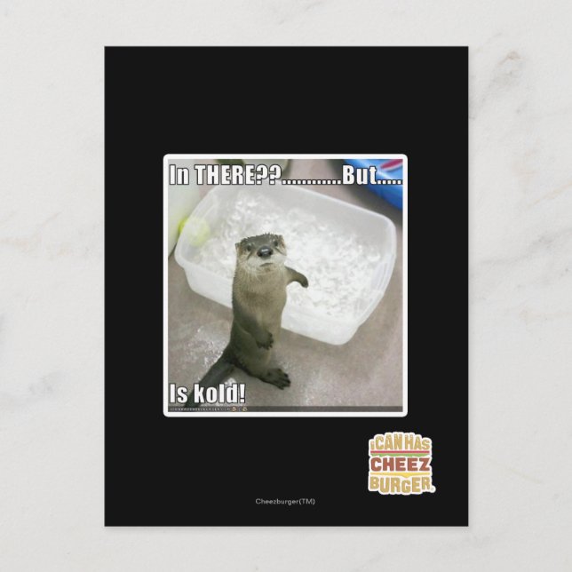 Postal ¿En allí? ¡Es Kold! (Anverso)
