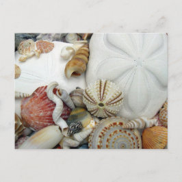 Postal en blanco de dos dólares de arena