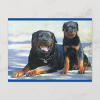 Postal en blanco del perro del perro del pito Rott