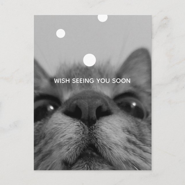 Postal en blanco y negro de 17 años (Anverso)