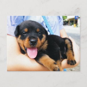 Postal En buenas manos