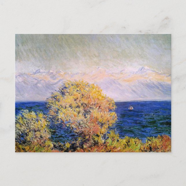 Postal En Cap d'Antibes, viento Mistral, (Anverso)
