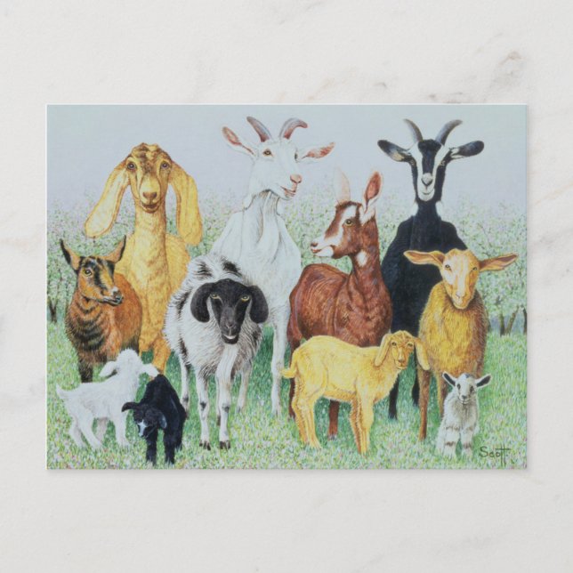 Postal En Clover (Anverso)