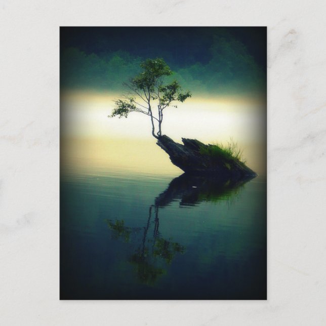 Postal En Contra De Todas Las Diferencias - Hermosa Fotog (Anverso)