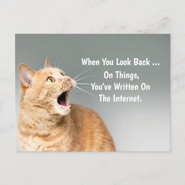 Postal En cosas que has escrito en Internet divertidas (Anverso)
