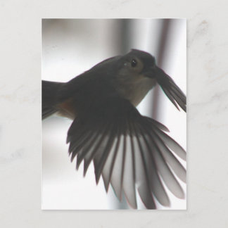 Postal En el ala
