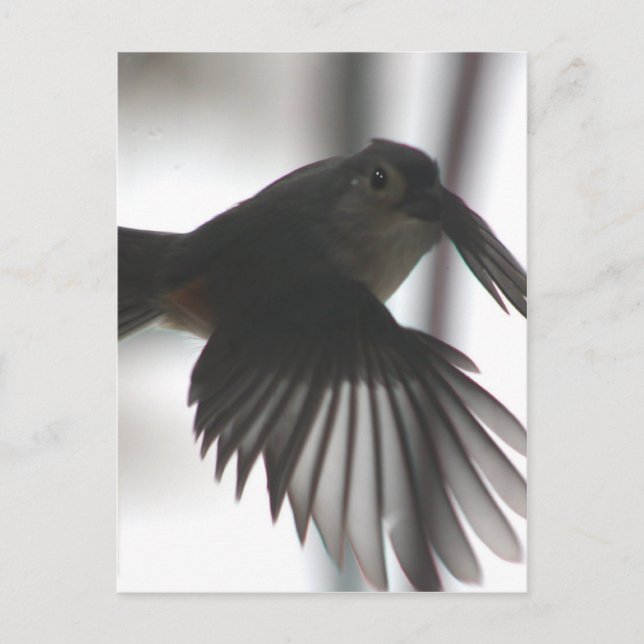 Postal En el ala (Anverso)