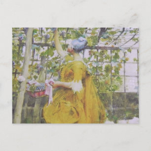Postal En el arbor de la uva