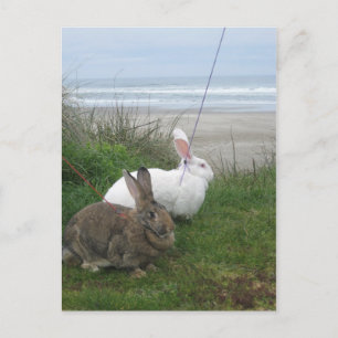 Postal En el Beach Postcard