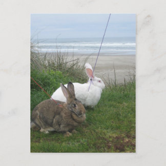 Postal En el Beach Postcard