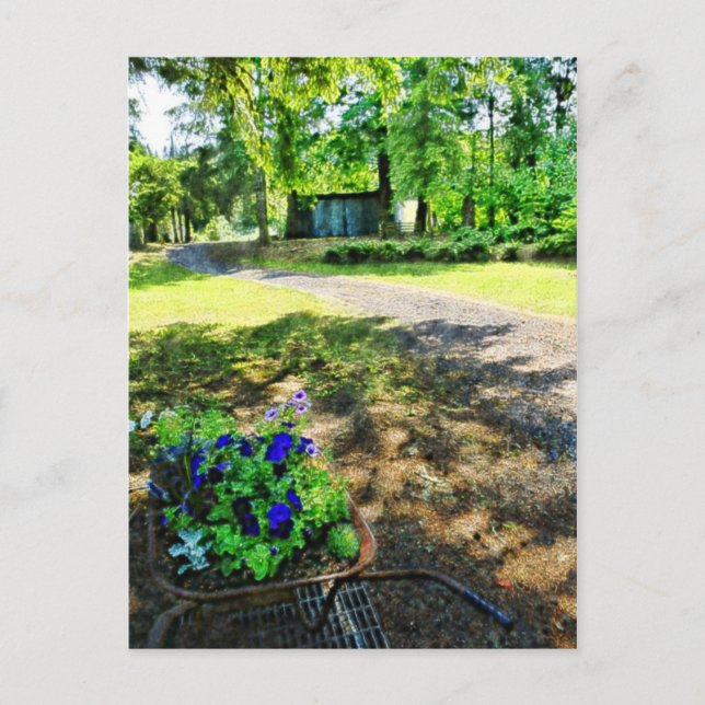 Postal En el bosque (Anverso)