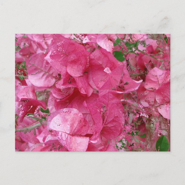 Postal En el calendario rosa -2012 (Anverso)