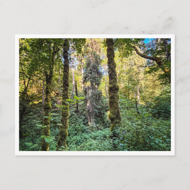 Postal En el camino (Anverso)