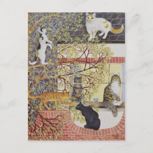 Postal En el centro de atención