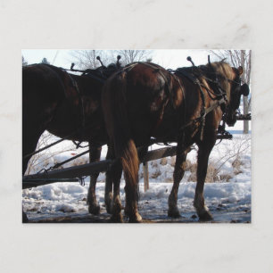 Postal En el golpeador puesto