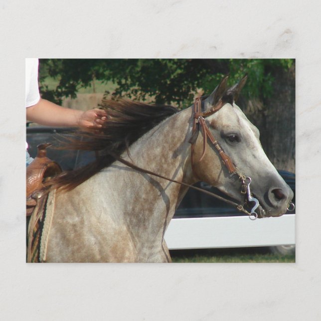 Postal En el Horse Show (Anverso)