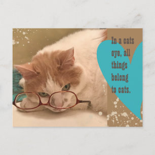 Postal En el ojo de un gato Gato divertido