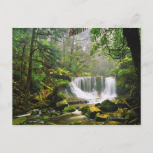 Postal en el Parque Nacional Mount Field