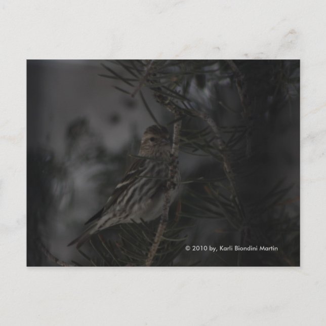 Postal En el Pino (Anverso)