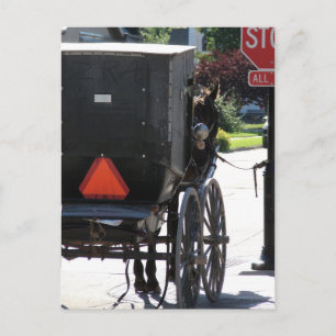Postal En el Rótulo Stop, un caballo amish