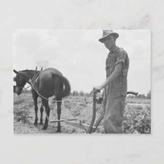 Postal En el trabajo en el algodón