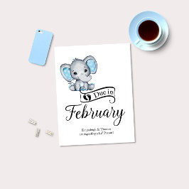 Postal En febrero, el pequeño cacahuete bebé elefante