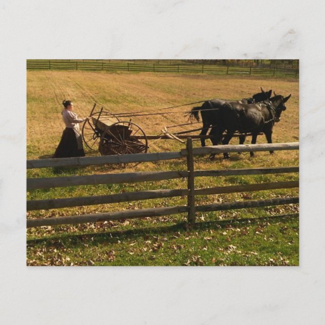 Postal En la granja (Anverso)