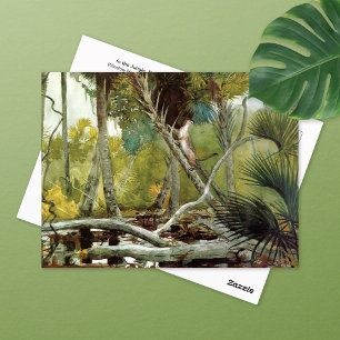 Postal En la jungla Florida Winslow Homer