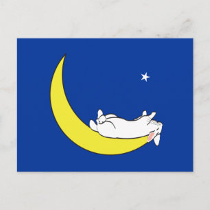 POSTAL EN LA LUNA