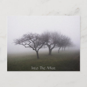 Postal En la niebla