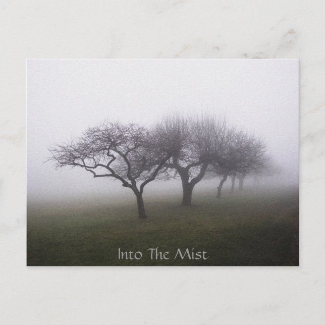 Postal En la niebla (Anverso)